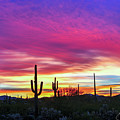 57th Birthday Sunrise