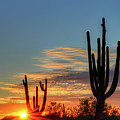 Sunrise Gold Canyon