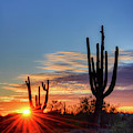 Sunset Spray