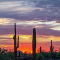 Fiery Sunset Arizona