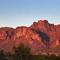 Pano Cougar Shadow Superstition Mts